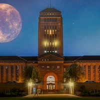 学习白噪声
